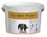 Cap-elast Phase 1 